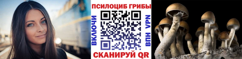 Псилоцибиновые грибы мицелий  купить  сайты  Торжок 